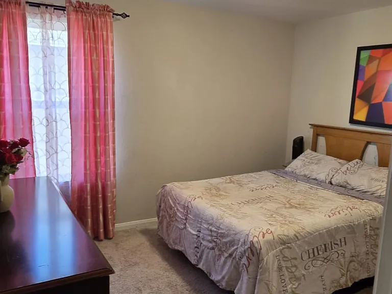 11431 Windy Cedar Ct — Photo 22