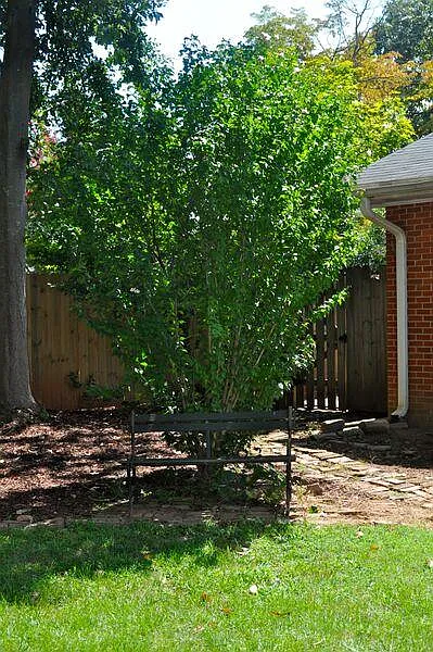 Building Photo - 2309 Airline Dr