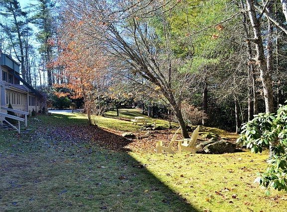 Beautiful back yard green sp