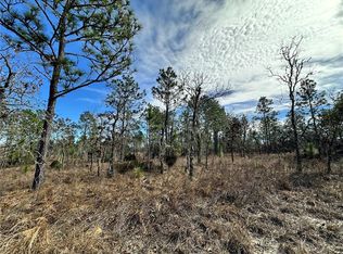 NE 150th Ct Lot 4, Williston, FL 32696