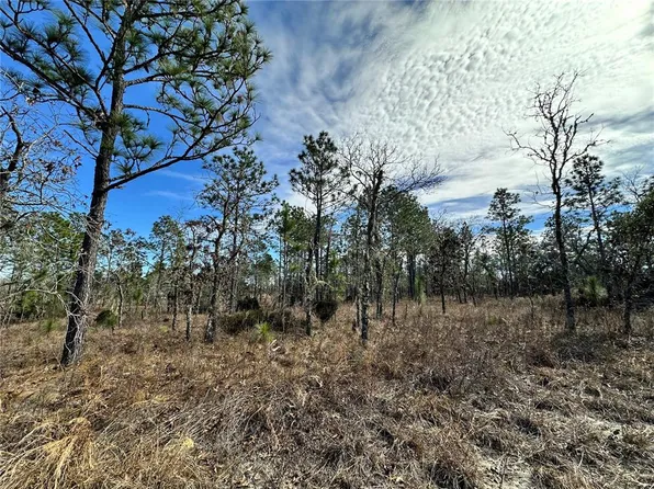 NE 150th Ct Lot 4, Williston, FL 32696
