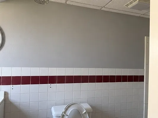 1 bed, $950 — Photo 1