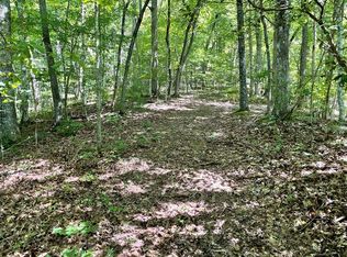 11 Laurel Springs Dr, Bryson City, NC 28713