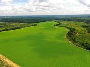 290 Kilgore Ln, Wray, GA 31798