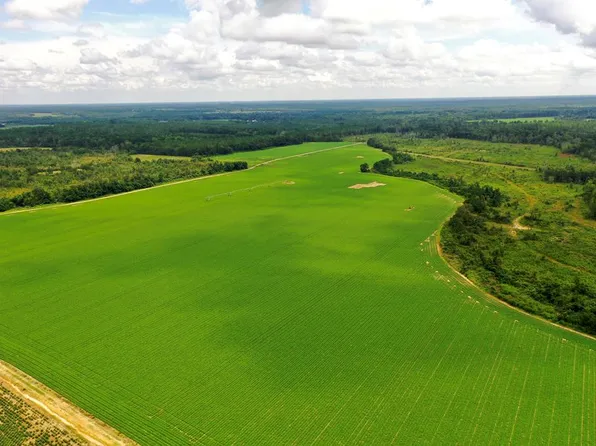 290 Kilgore Ln, Wray, GA 31798