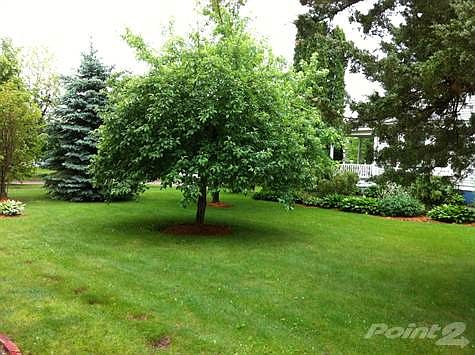 Side Yard