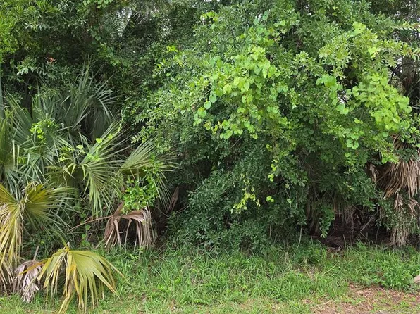 19 WASSERMAN DRIVE LOT 10, PALM COAST, FL 32164