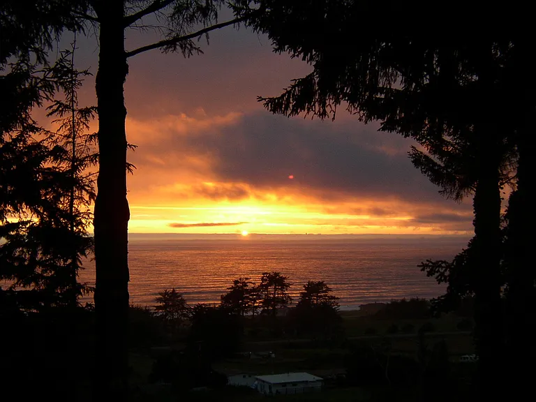 VIEW FROM FRONT YARD