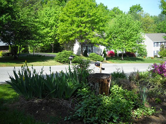 4th image of 4587 Summerset Dr