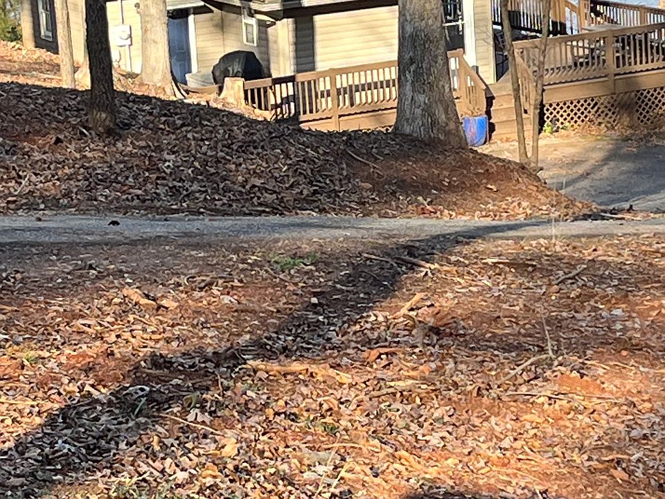 2nd image of 325 Lake Rd