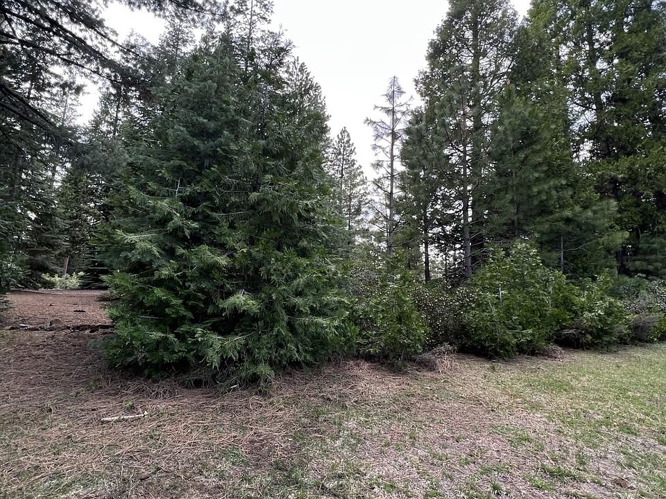2nd image of 45 Highwood Cir