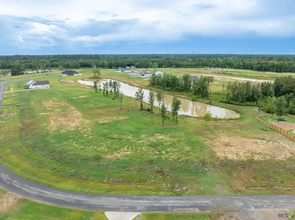 43596 Collyns Cv, Prairieville, LA 70769