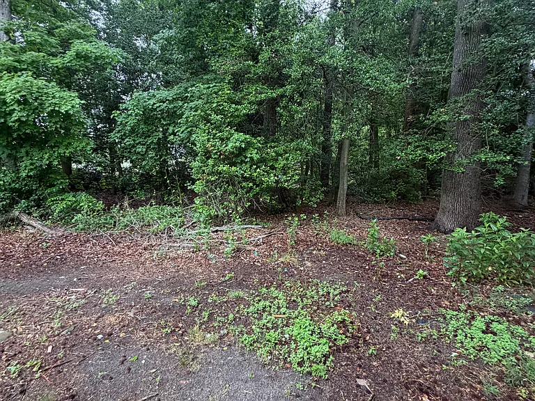 20603 Atlanta Rd — Photo 19
