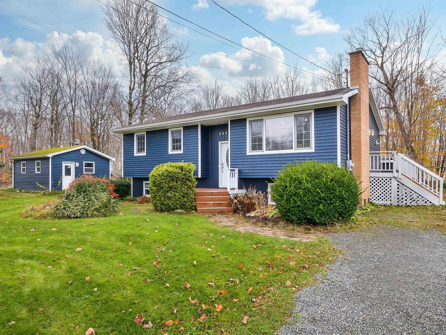 Flowers Sydney Mines Nova Scotia Best Flower Site