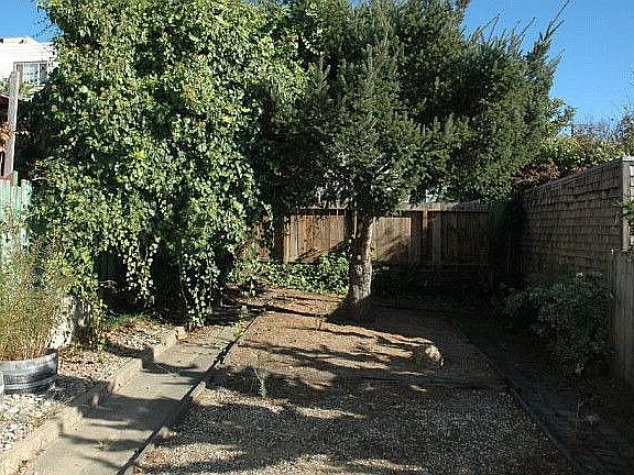 Large Backyard