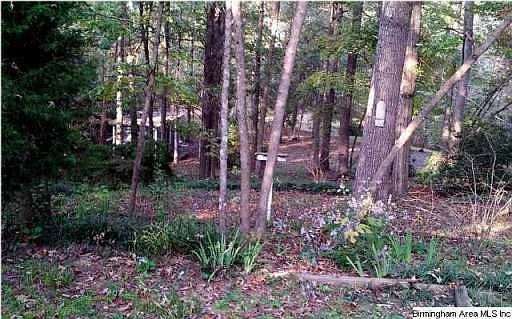 2nd image of 9086 Manley Vines Rd