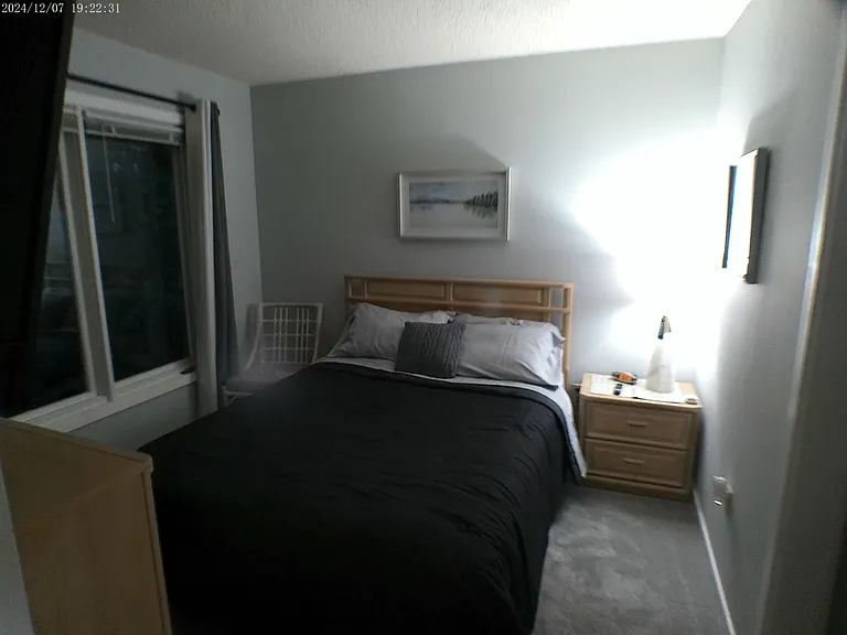 13 Ivy Glen Ln — Photo 23