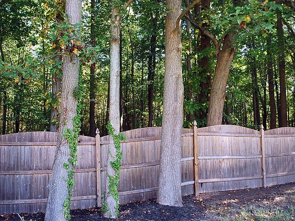 Backs to Woods - Private!