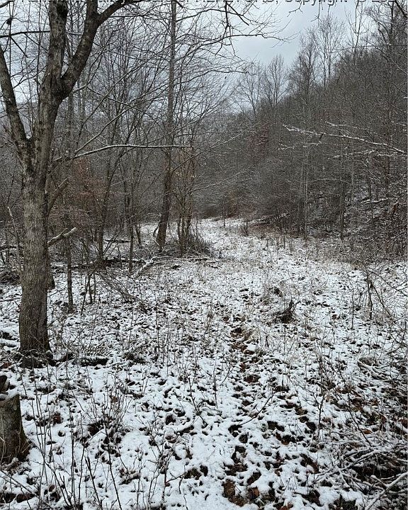 5700 Buck Fork Rd, Harts, WV 25524 Zillow