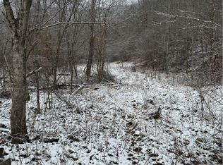 5700 Buck Fork Rd, Harts, WV 25524