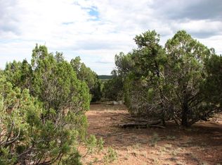 4982 Elk Trail Rd, Clay Springs, AZ 85923