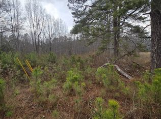 5534 Steadman Rd, Buchanan, GA 30113