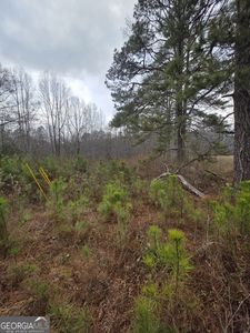 5534 Steadman Rd, Buchanan, GA, 30113