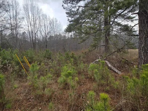 5534 Steadman Rd, Buchanan, GA 30113