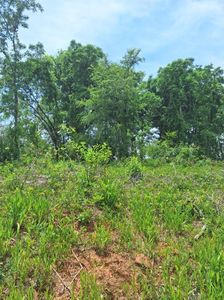 Na Millers Mill Road & Salem Cemetary Rd, Callaway, MD, 20620