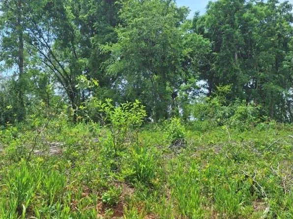 Na Millers Mill Road & Salem Cemetary Rd, Callaway, MD 20620