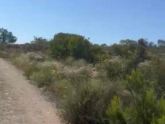 2nd image of Highway 94 Campo Rd