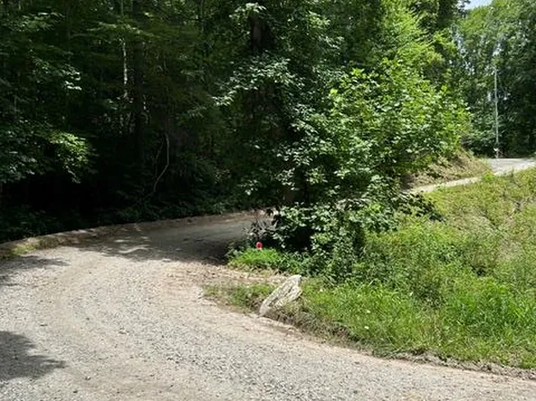 0 Coman Rd Tract 4A, Franklin, NC 28734