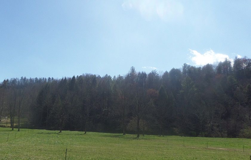 2nd image of 000 Elk Creek Darby Rd