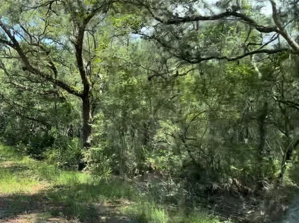 0 SE Pelican Rd #930, Branford, FL 32008