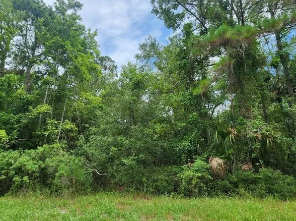 216 Palm Way, Georgetown, FL 32139