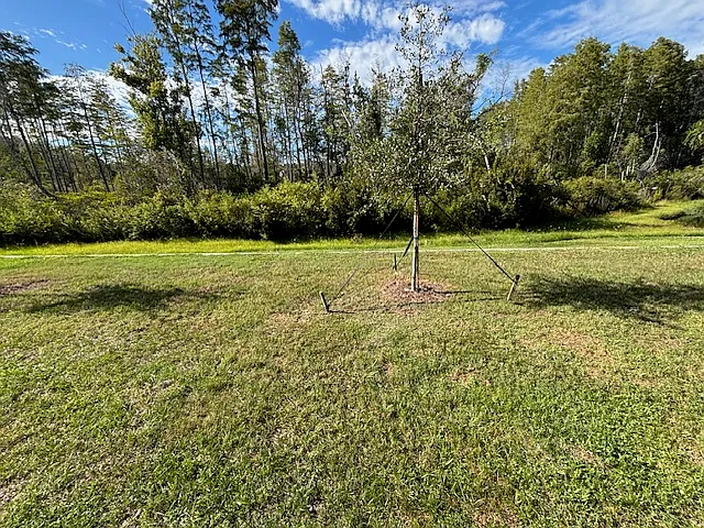 17781 Tawny Malt Pl — Photo 27