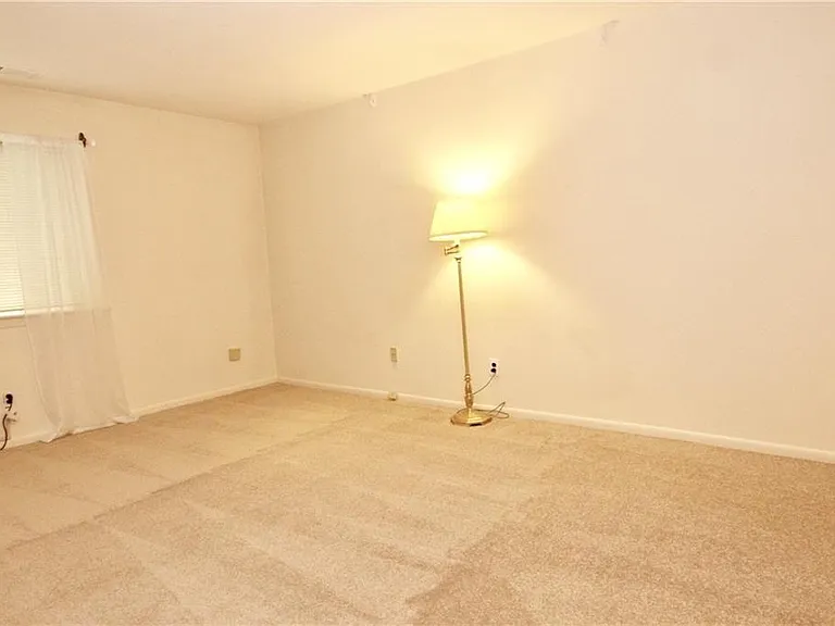 29 Sweetgum Ln — Photo 9