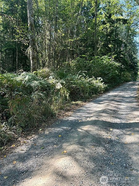 5th image of 0 xxx Forest View Lane