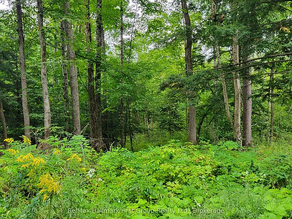 3rd image of 0 Black River Rd N