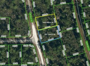 1049 Ostrich St, Lake Placid, FL 33852