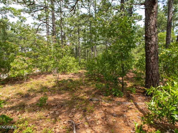 110 Otter Drive, West End, NC 27376