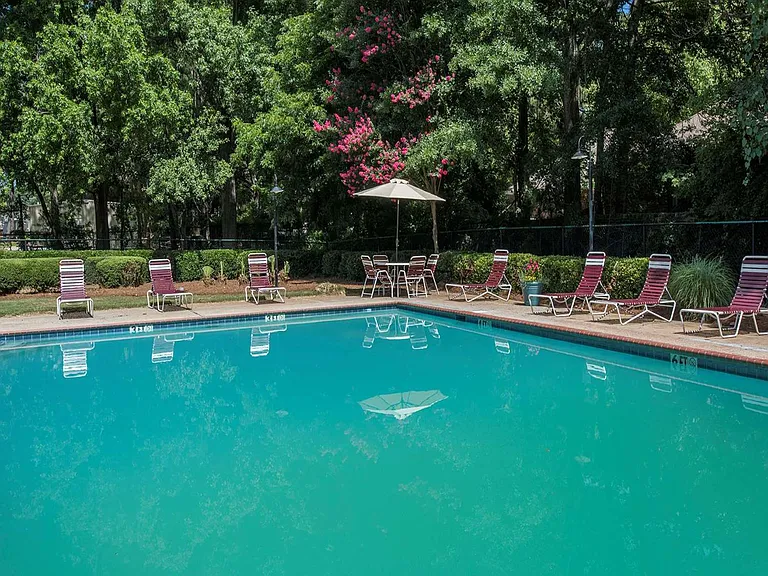 Ridgeland Ranch — Photo 12