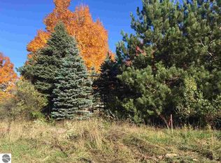 11355 Lossie Rd, Williamsburg, MI 49690