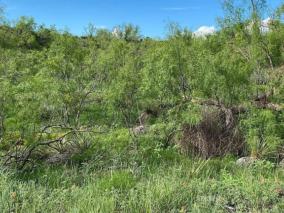 3rd image of 9831 Amarillo Rd