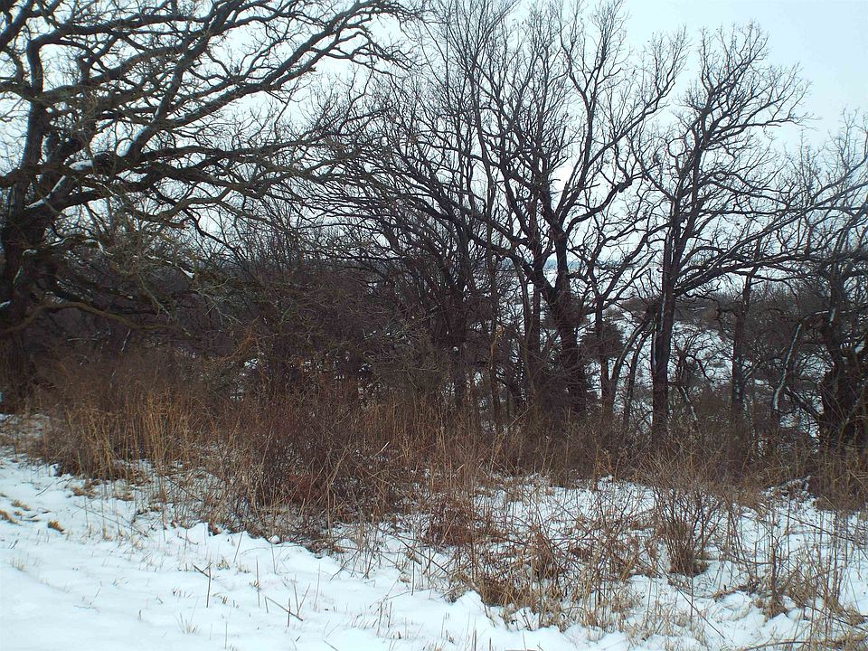 2nd image of N Badger Rd