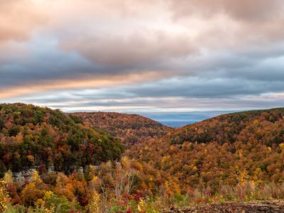 0 Worley Rd LOT 42, Soddy Daisy, TN, 37379