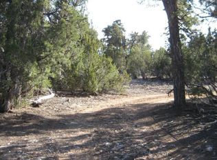3249 E Aspen Rd, Overgaard, AZ 85933