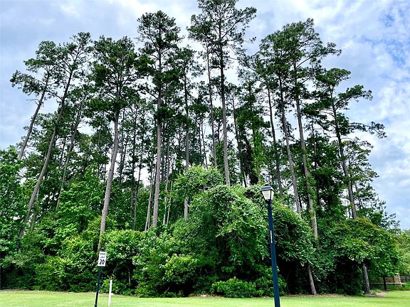 5th image of 67 N Glenwild Cir