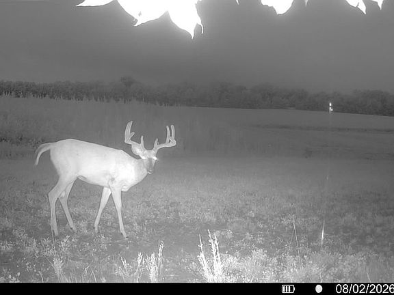 3rd image of 0 Raymond Rd Lot Wp001