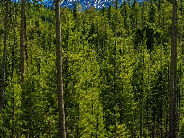 8 Mitchell Ln, Anaconda, MT 59711